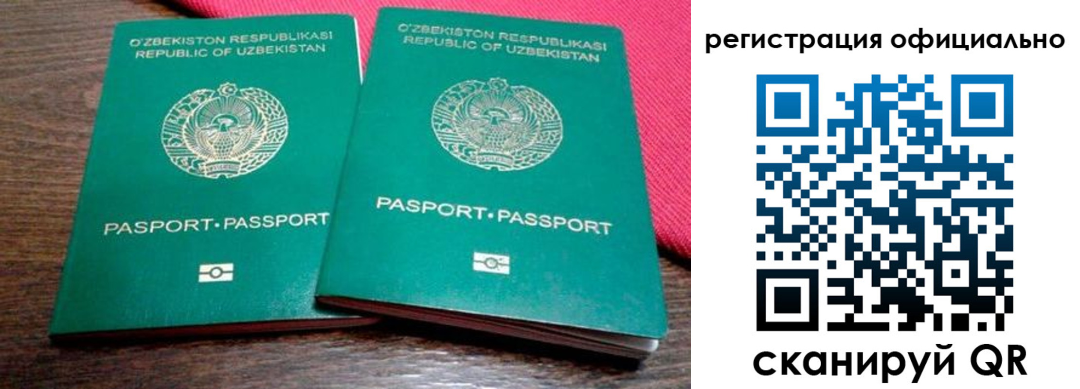 прописка регистрация в Тайге